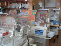 Novorozenecké oddělení
